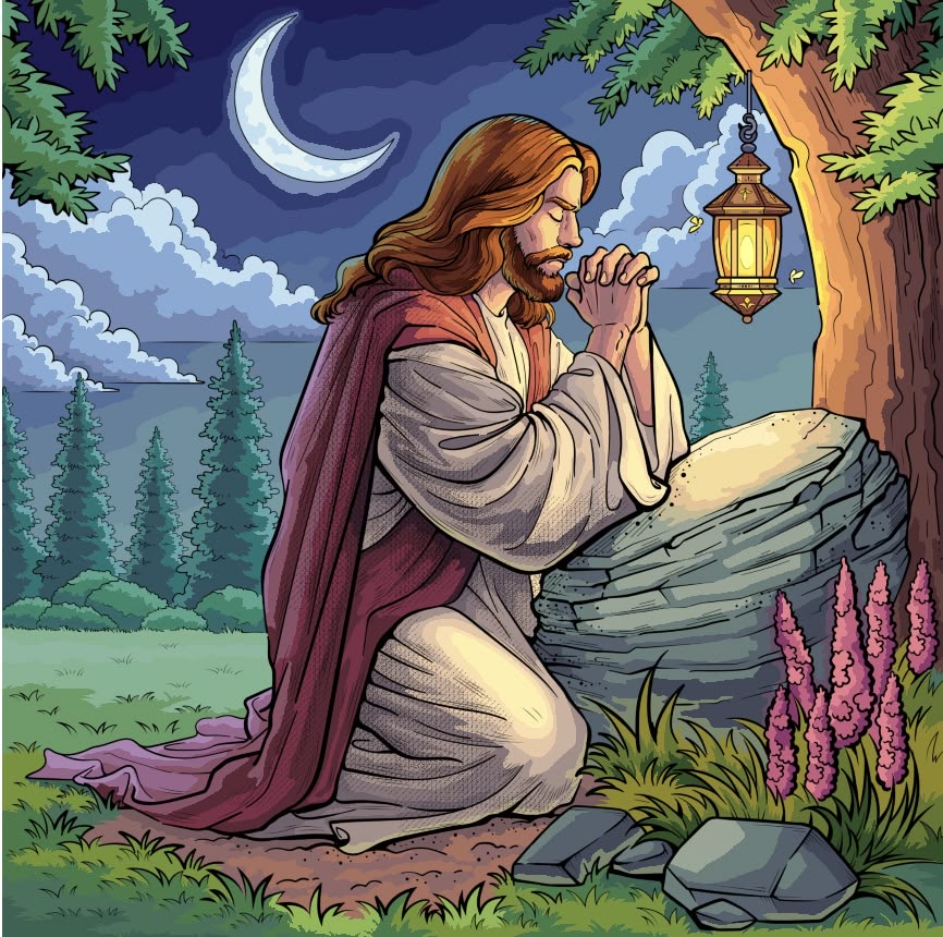 ഉല്‍പത്തി 26 : 24